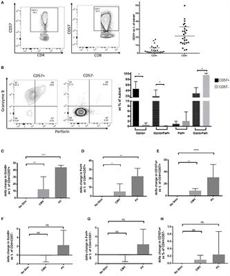 Maintenance of Functional CD57+ Cytolytic CD4+ T Cells in HIV+ Elite Controllers
